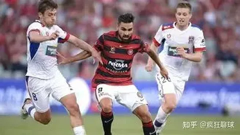 国家体育总局要求速整“饭圈”乱象，护航体育生态良性发展