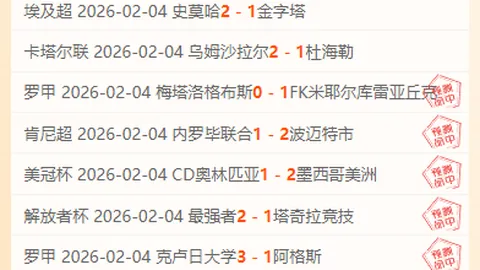 恩梅加恢复进展顺利，或将重返赛场亮相弗赖堡对决